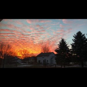 Meet your Posher, Hailey